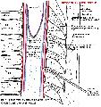 Epiduralis (periduralis) tr s felkeresse, oldalmetszet © dr Nemessnyi